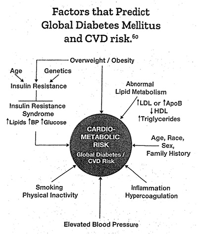 Preventive Medicine Associates, PLLC