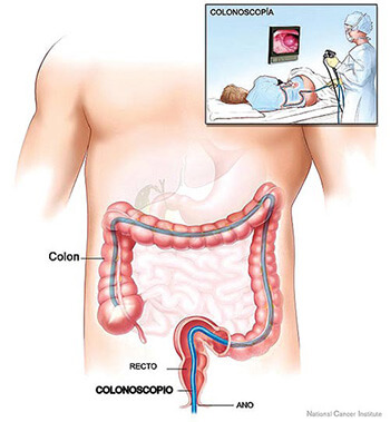 Preventive Medicine Associates, PLLC